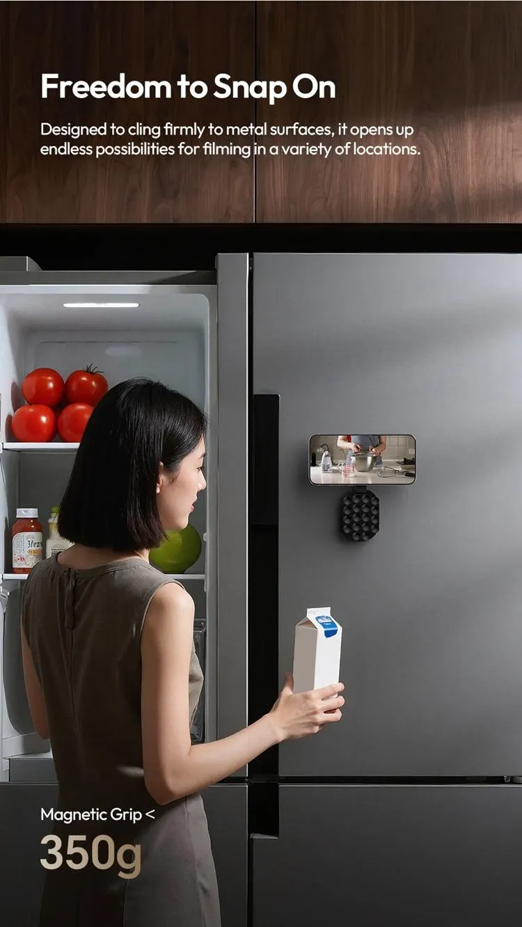 Magnetic Suction Mount View 7